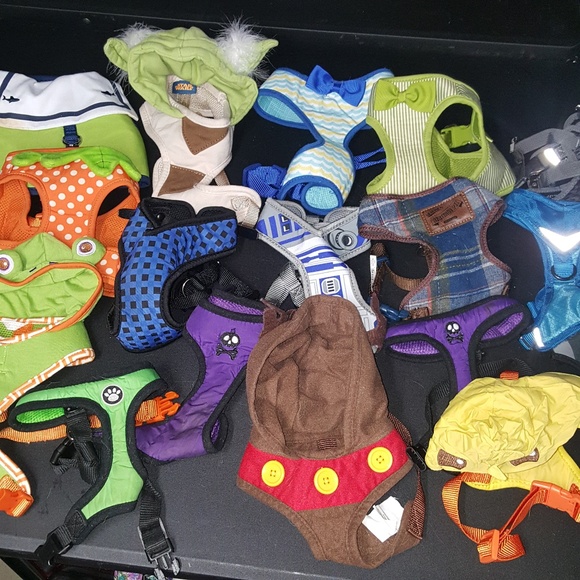 petco Other - Lot of 16 fashion harnesses for a small dog